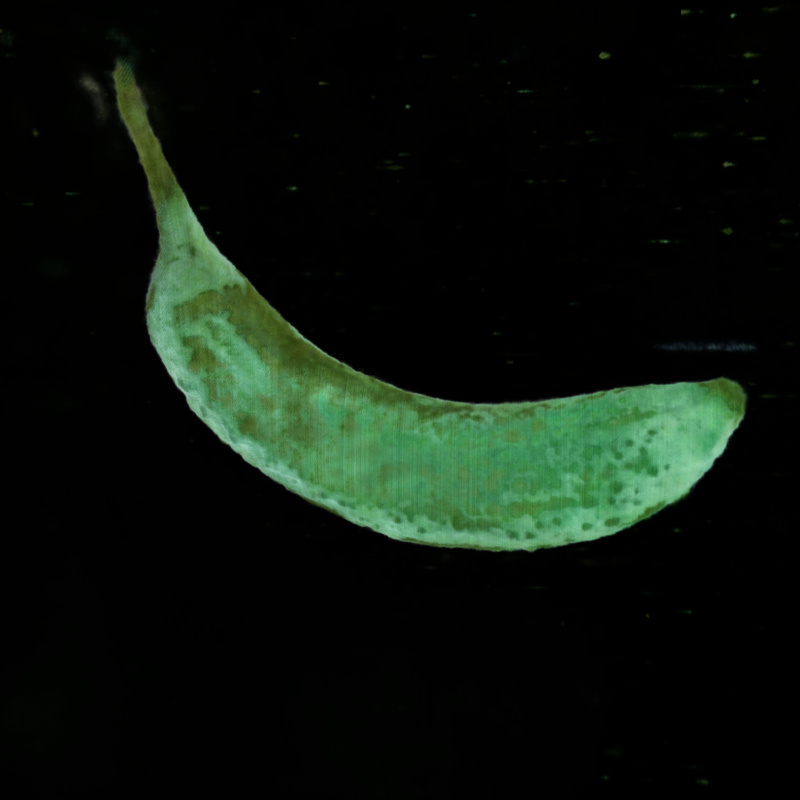 Banana 1